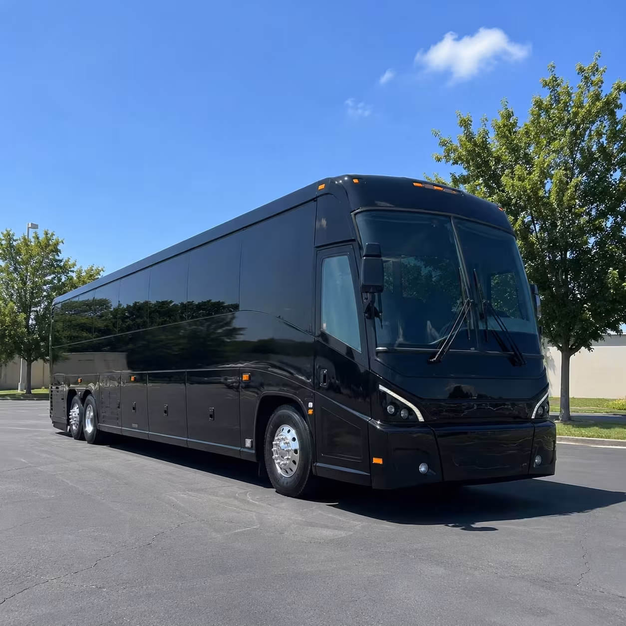 compare long distance transportation options in springfield and beyond