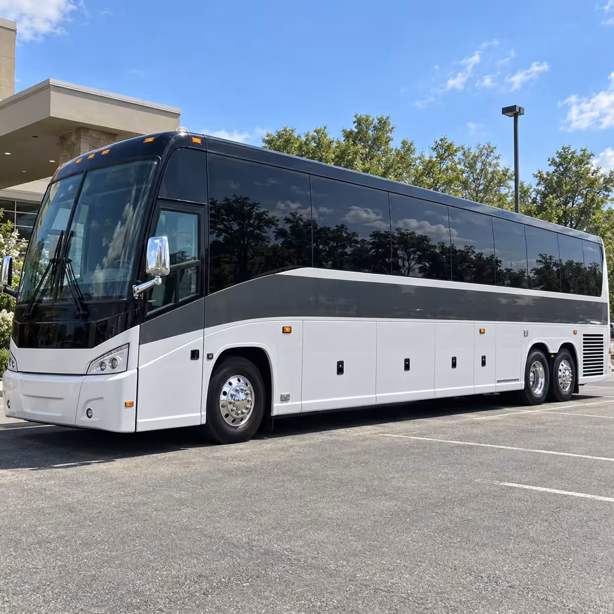 compare wedding transportation options in springfield and beyond