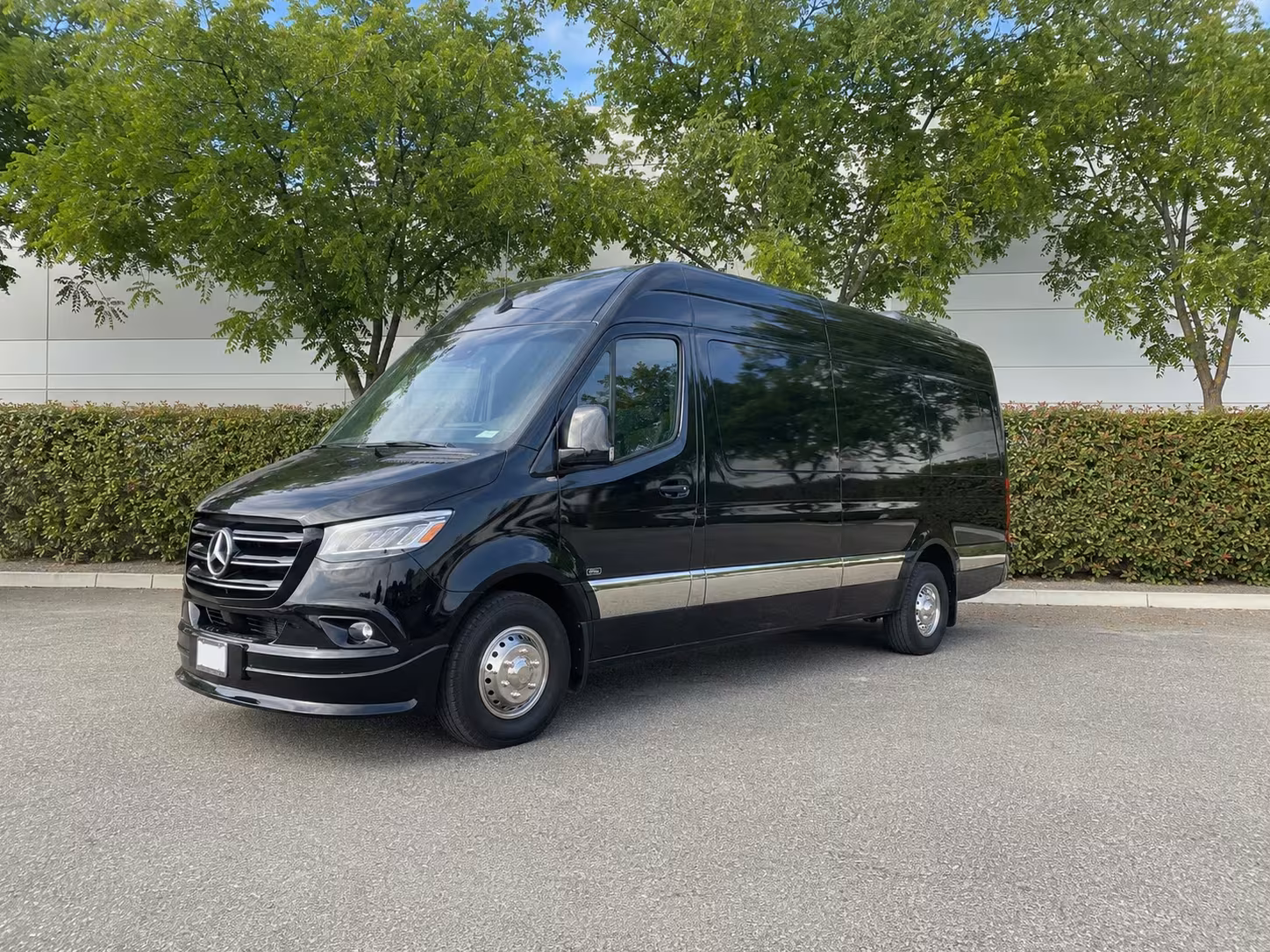 forest park