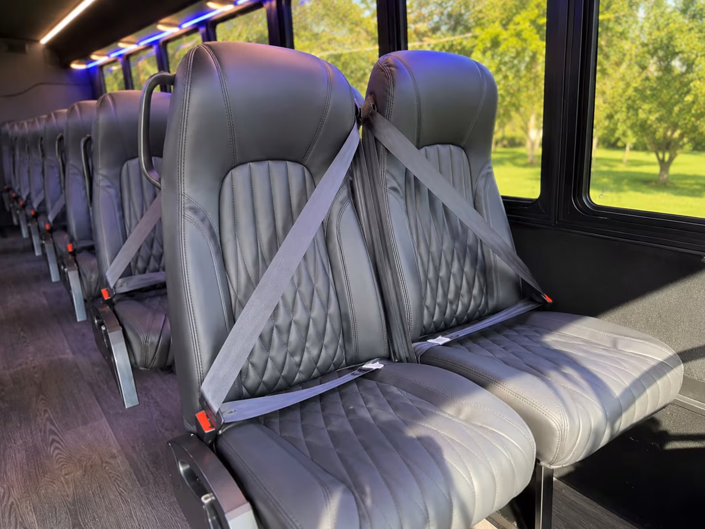 springfield 18 passenger minibus rental